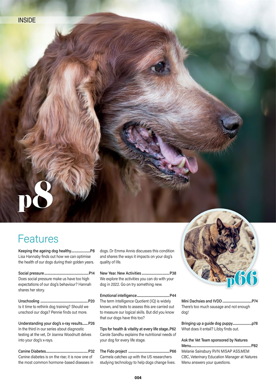 Edition Dog Preview Pages