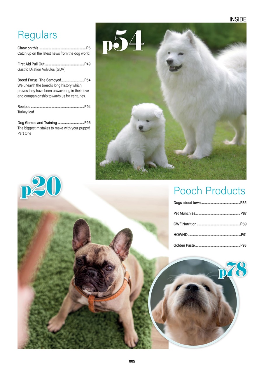 Edition Dog Preview Pages