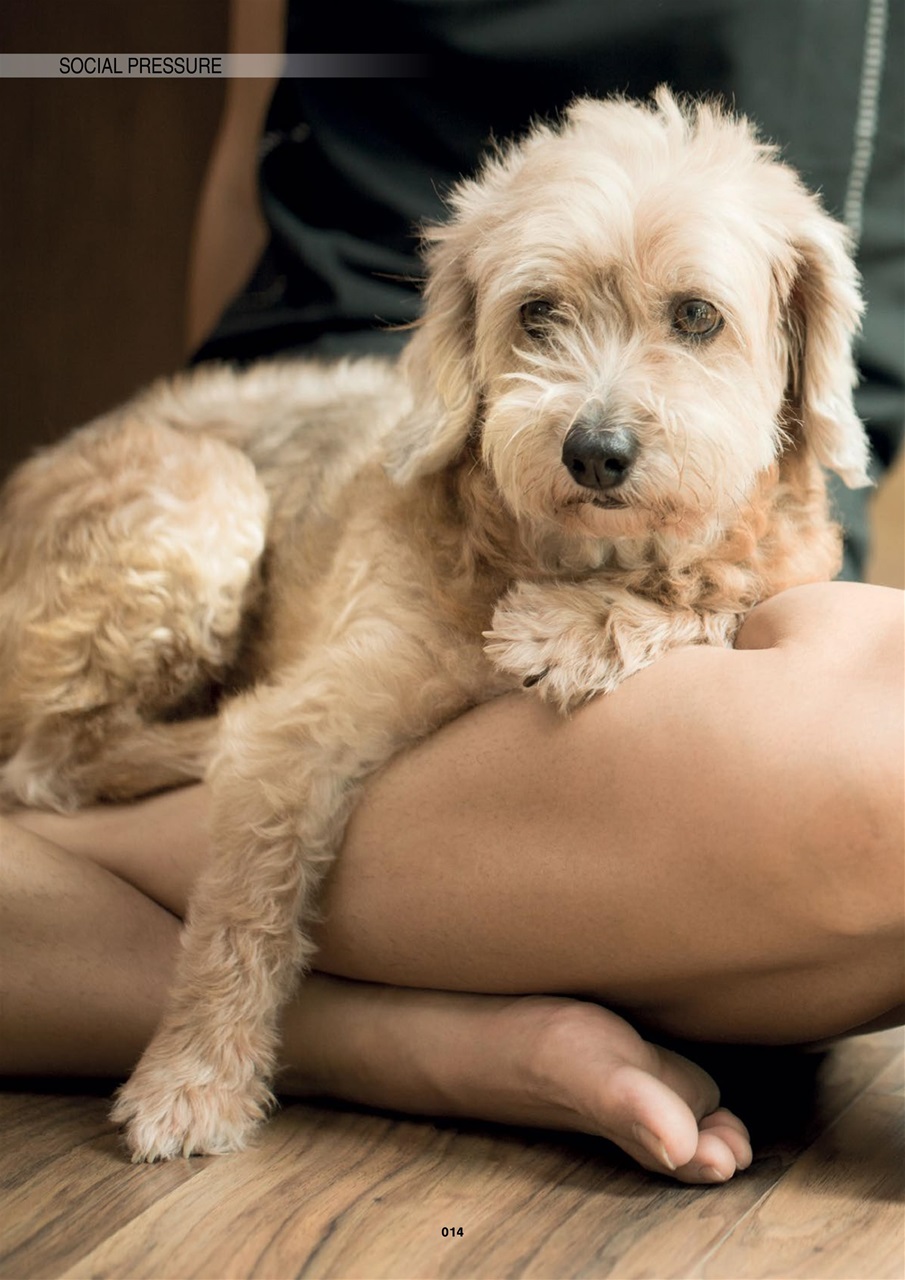 Edition Dog Preview Pages