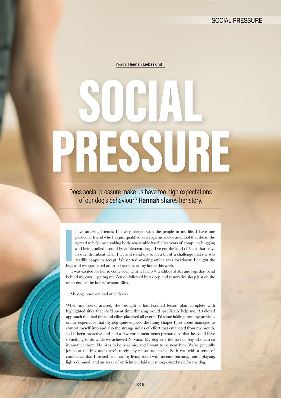 Edition Dog Preview Pages