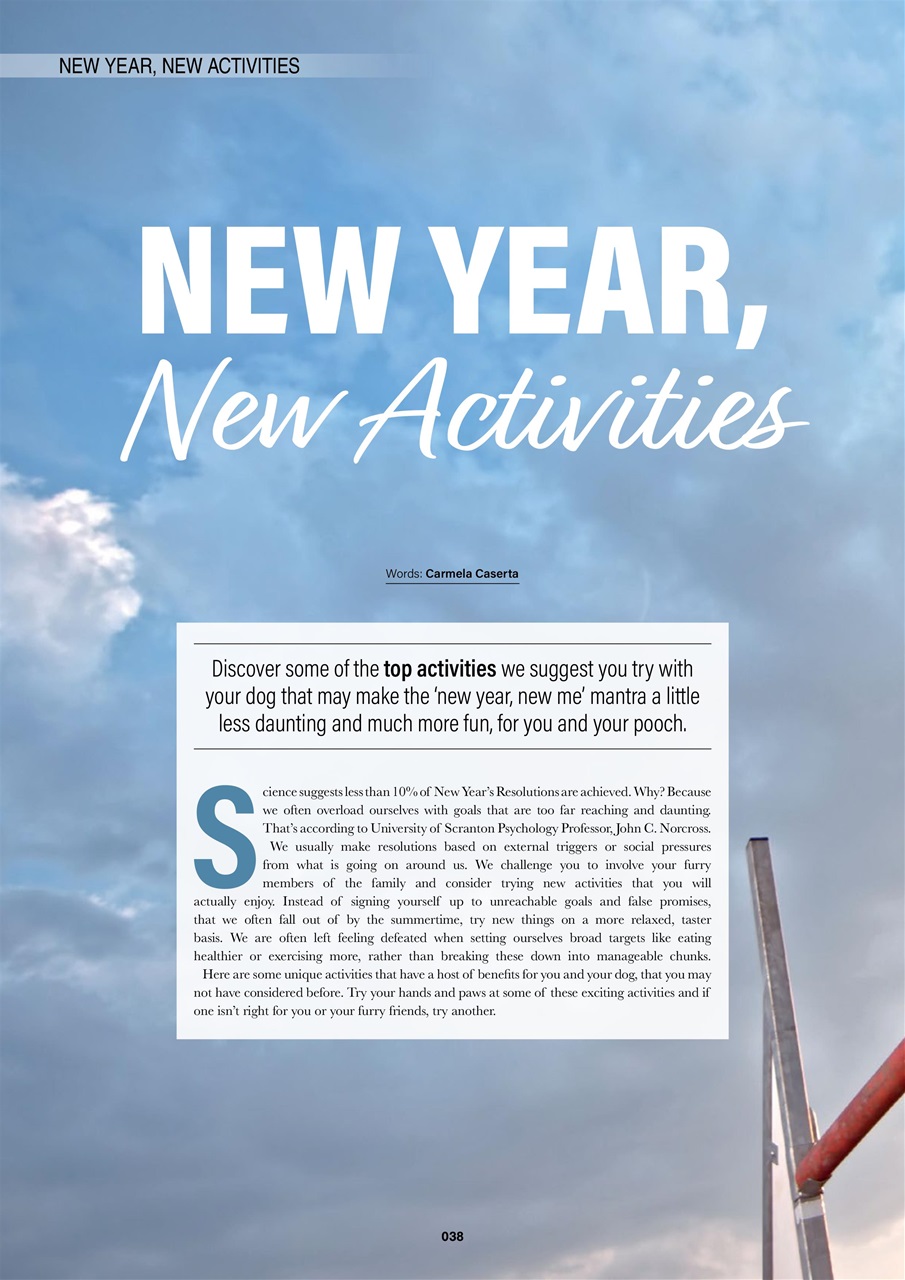 Edition Dog Preview Pages