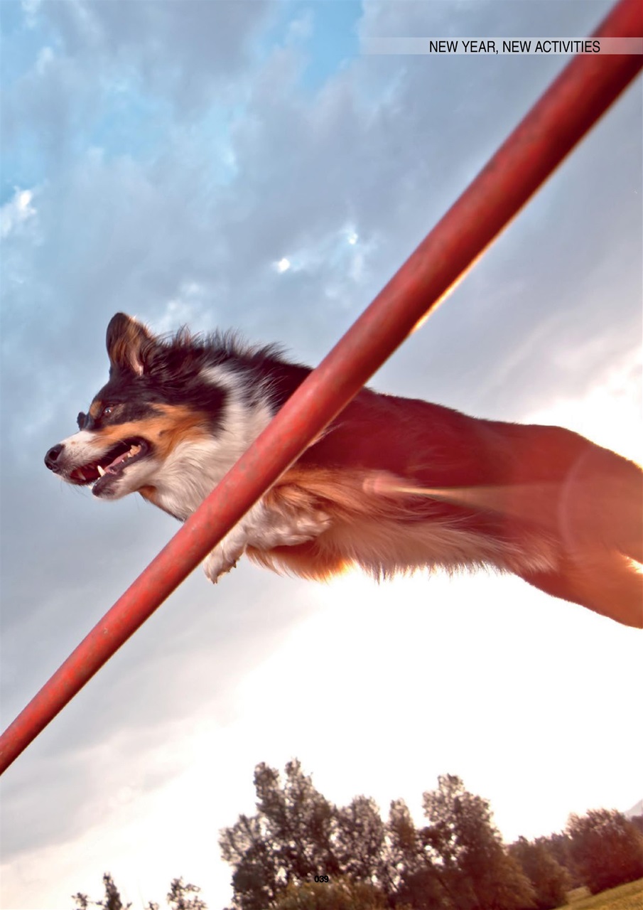 Edition Dog Preview Pages