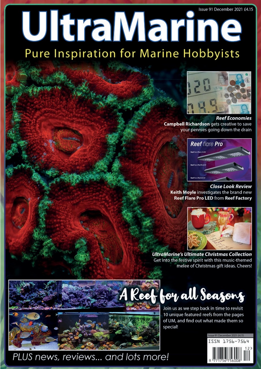 UltraMarine Magazine Preview Pages