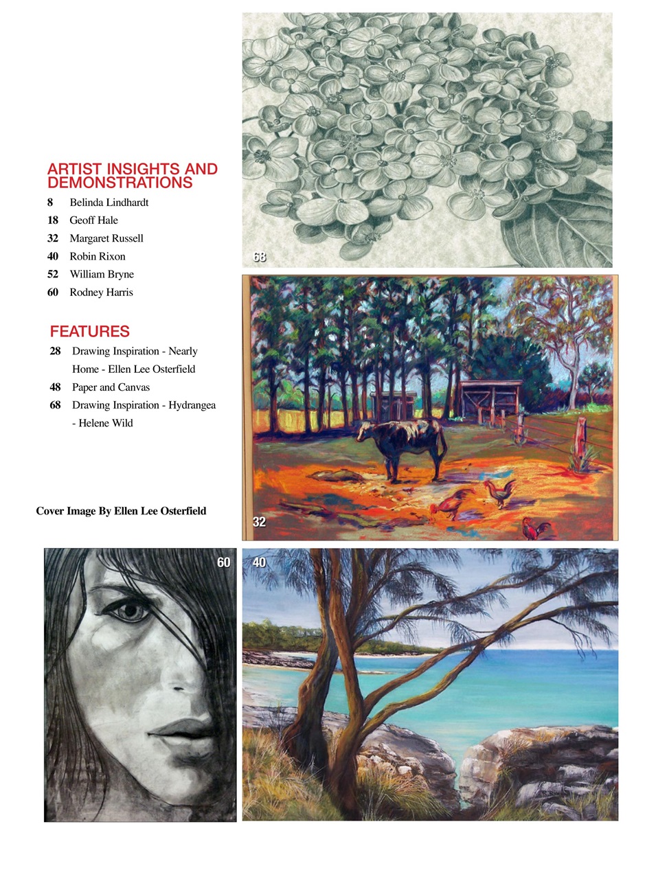 Australian Drawing and Inspiration Preview Pages