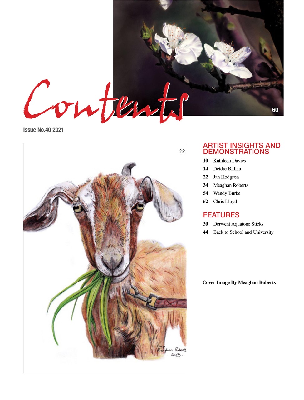 Australian Drawing and Inspiration Preview Pages