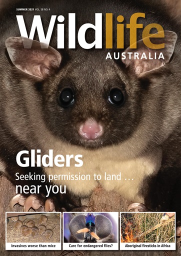 Wildlife Australia issue 