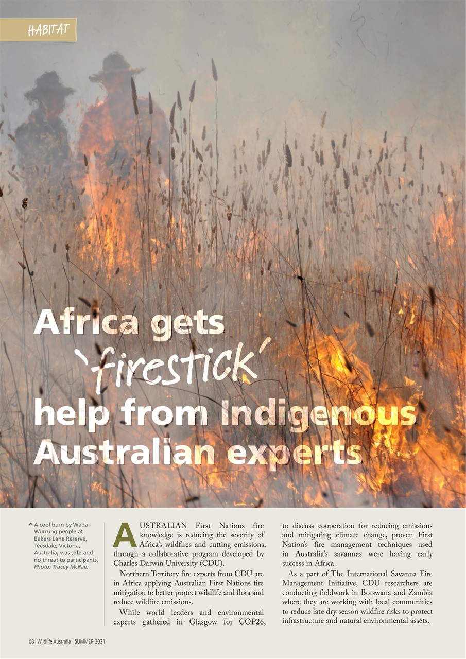 Wildlife Australia Preview Pages