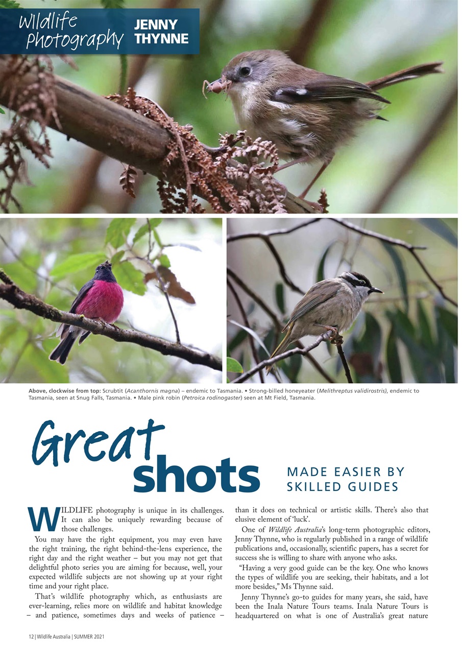 Wildlife Australia Preview Pages