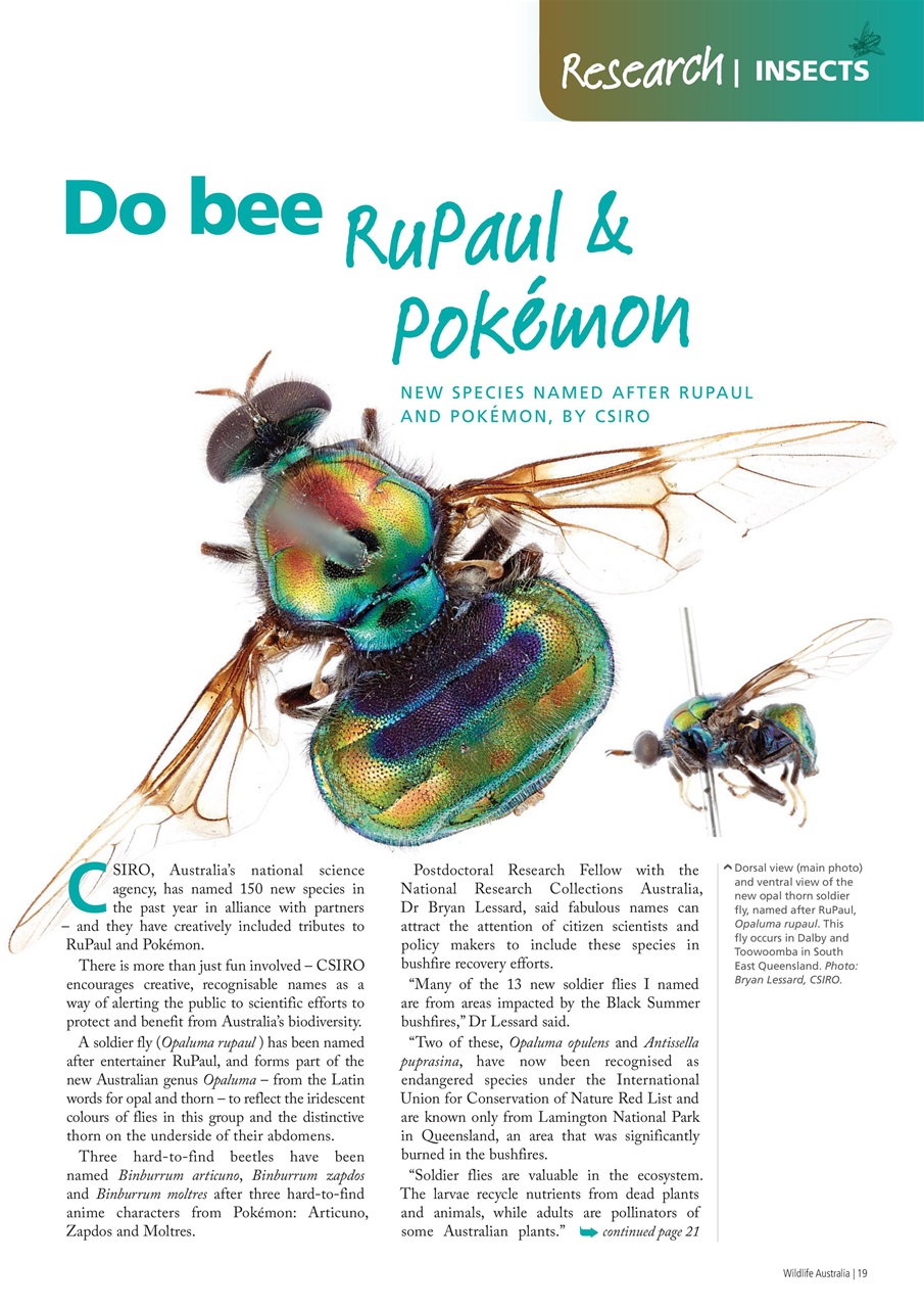 Wildlife Australia Preview Pages