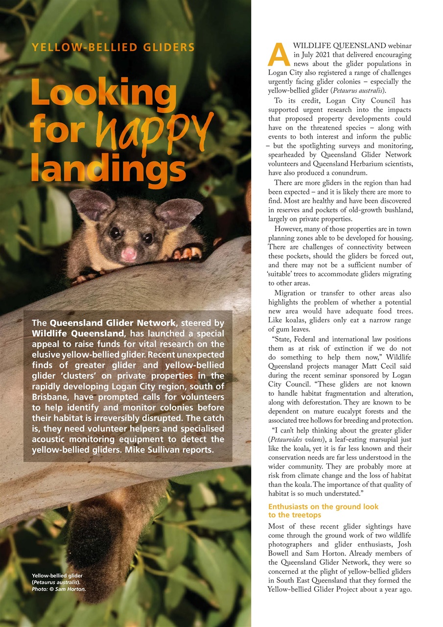 Wildlife Australia Preview Pages