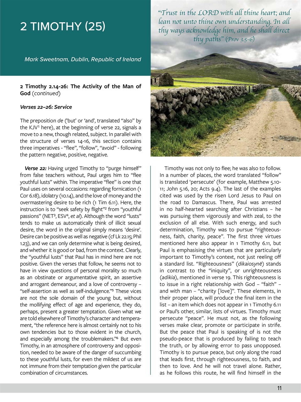 Believer Magazine Preview Pages