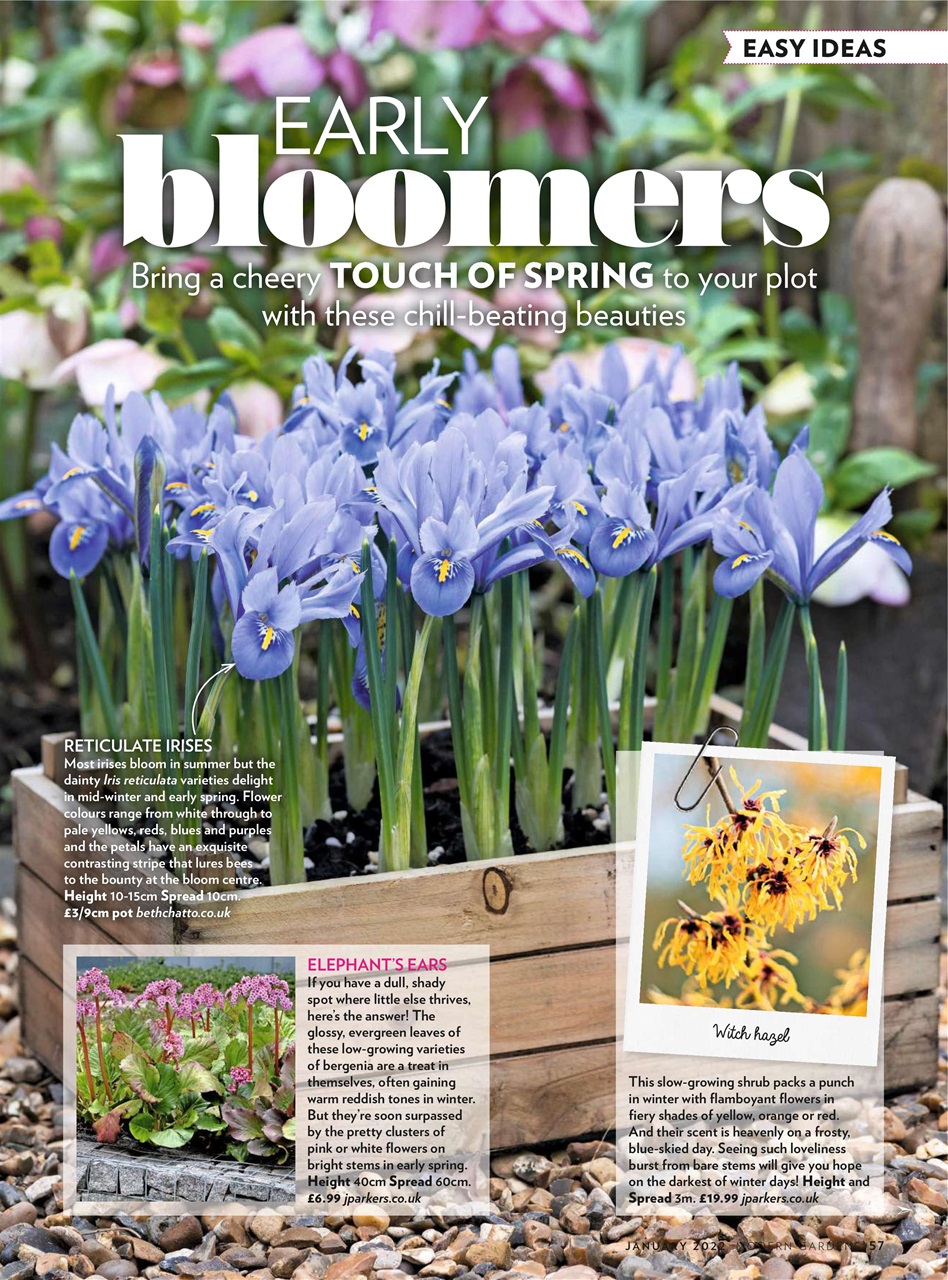 Modern Gardens Preview Pages
