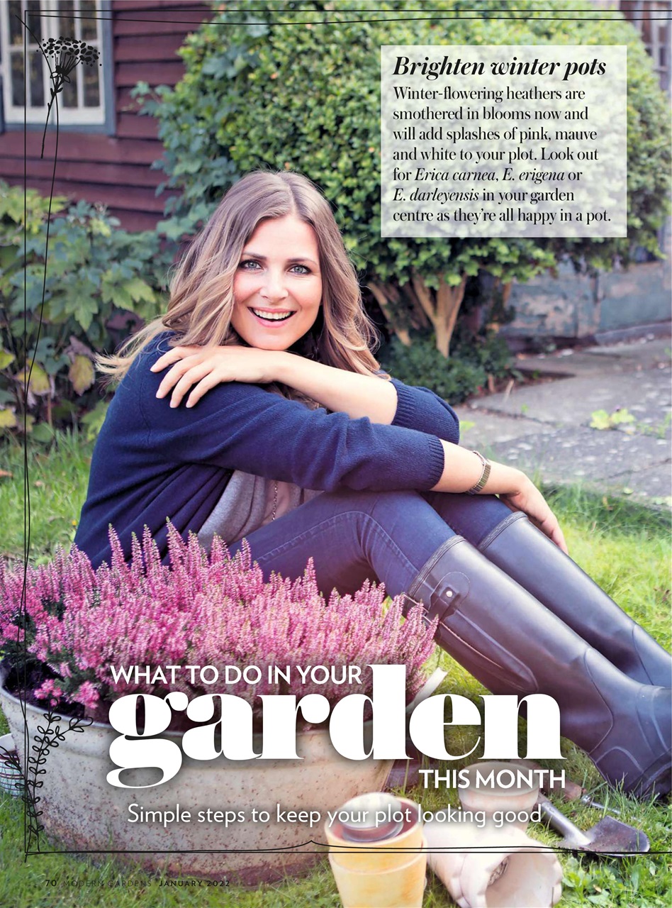 Modern Gardens Preview Pages