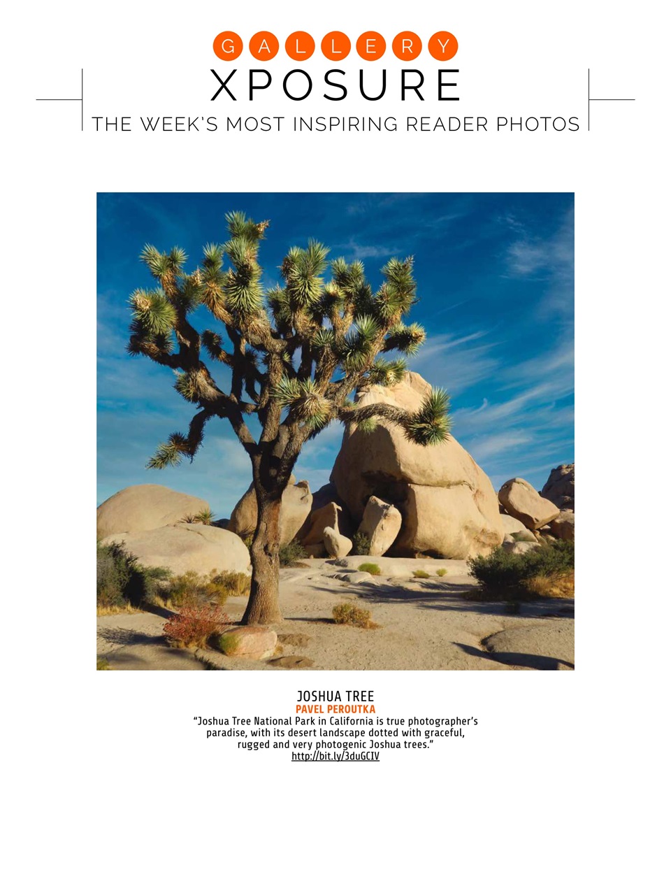 Photography Week Preview Pages