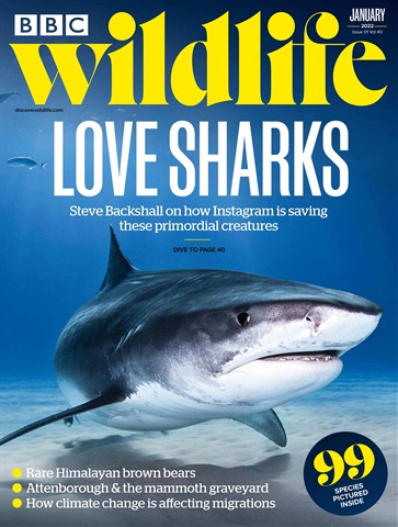 BBC Wildlife Magazine issue Jan-22