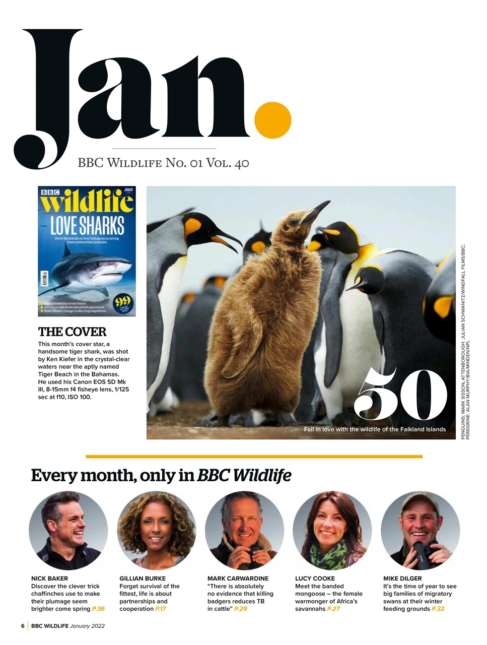 BBC Wildlife Magazine Preview Pages