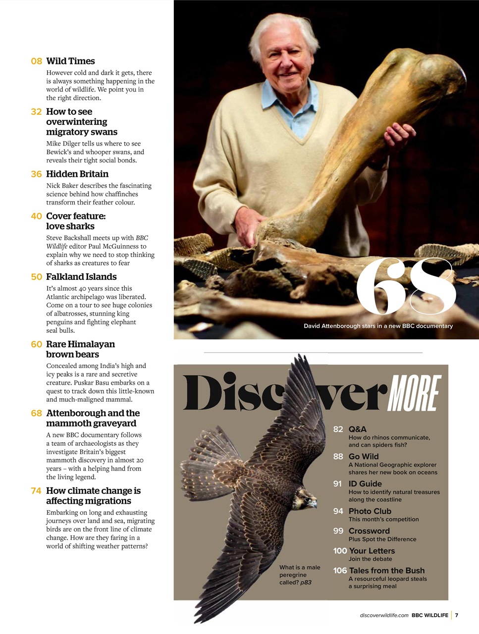 BBC Wildlife Magazine Preview Pages