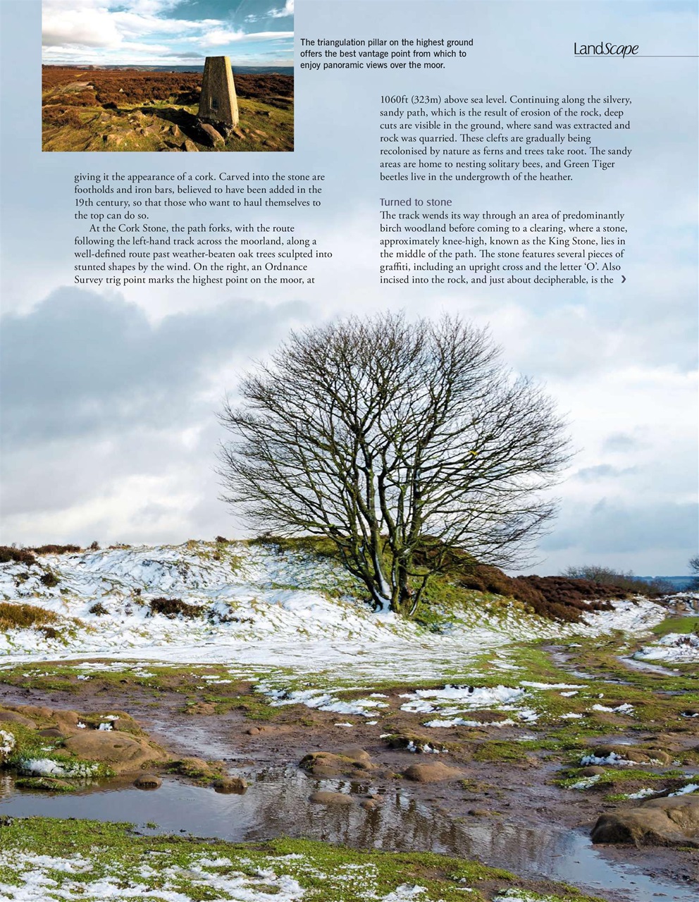 LandScape Preview Pages