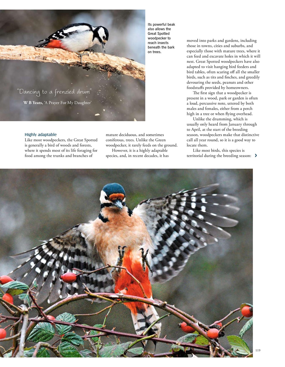 LandScape Preview Pages