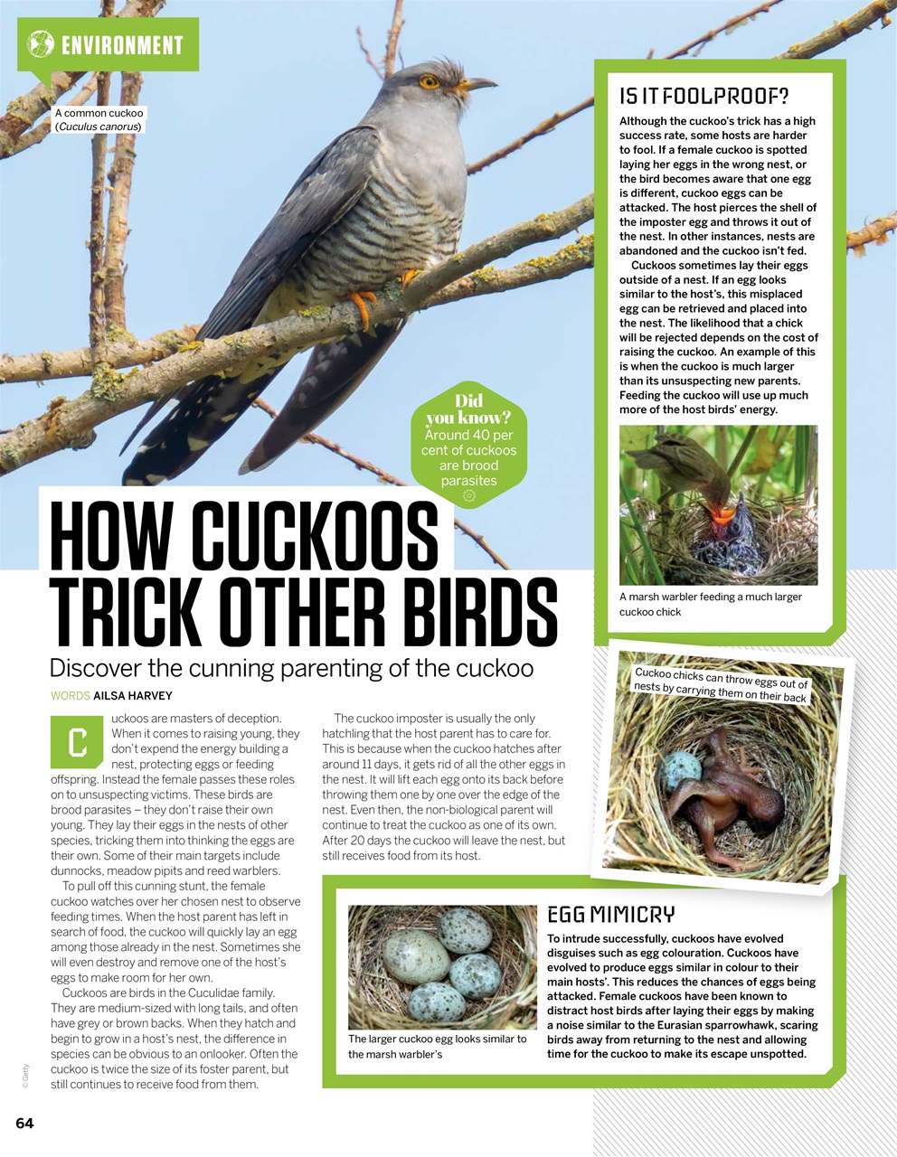 How It Works Preview Pages