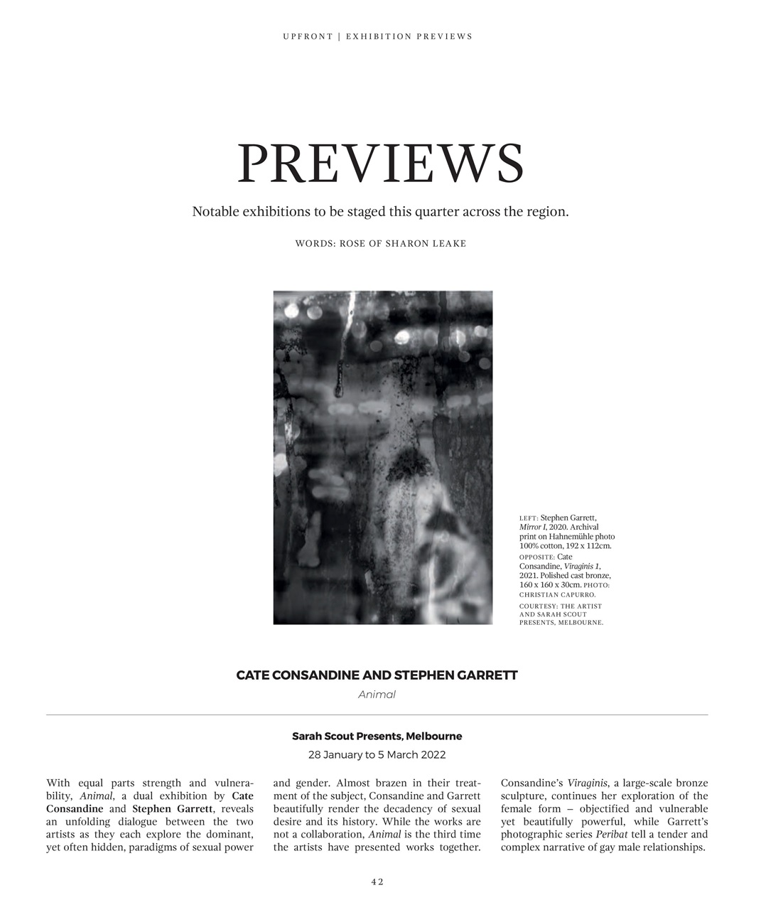 Art Collector Preview Pages