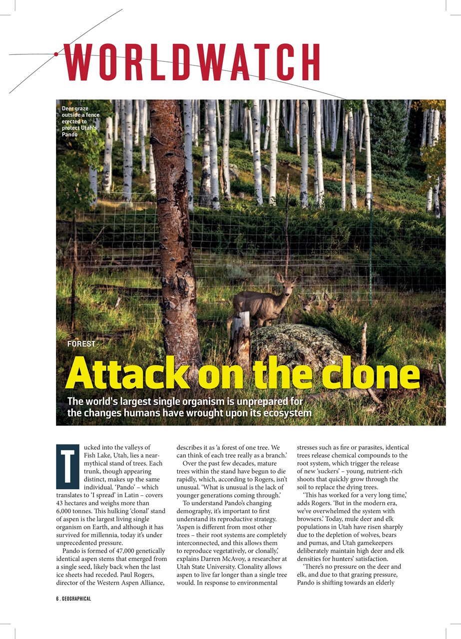 Geographical Preview Pages