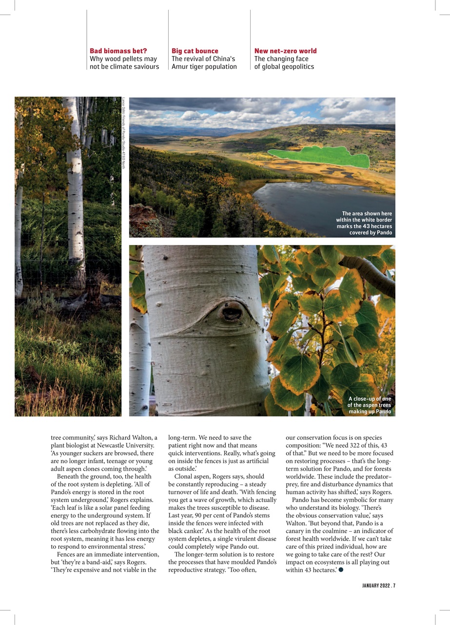 Geographical Preview Pages