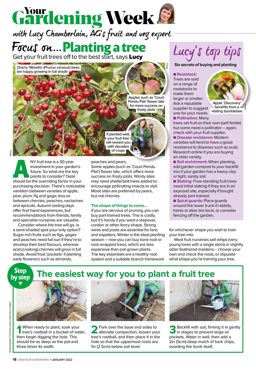 Amateur Gardening Preview Pages