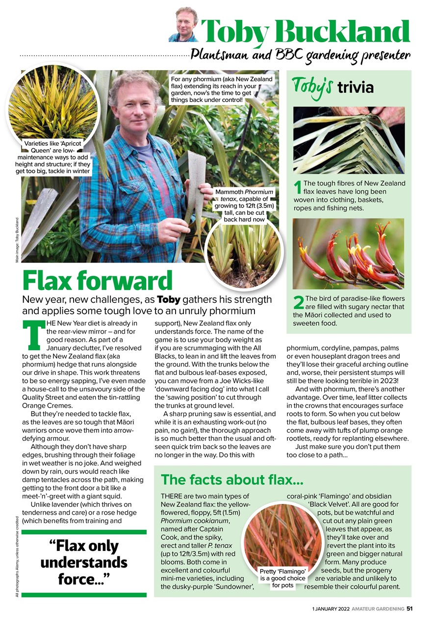 Amateur Gardening Preview Pages