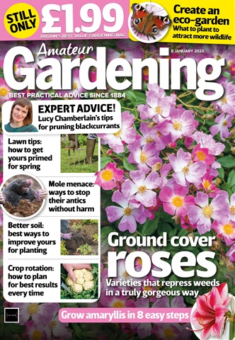 Amateur Gardening issue 8th January 2022