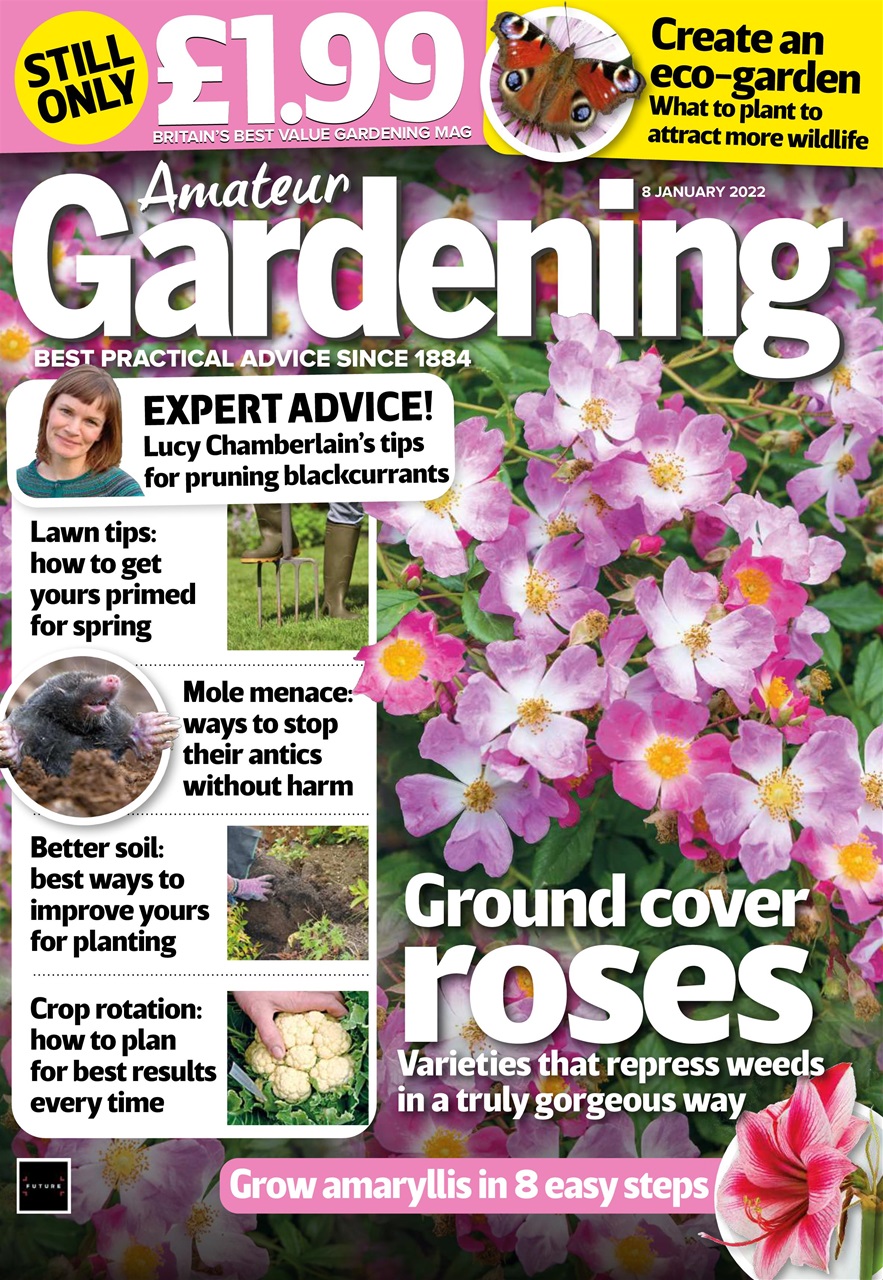 Amateur Gardening Preview Pages