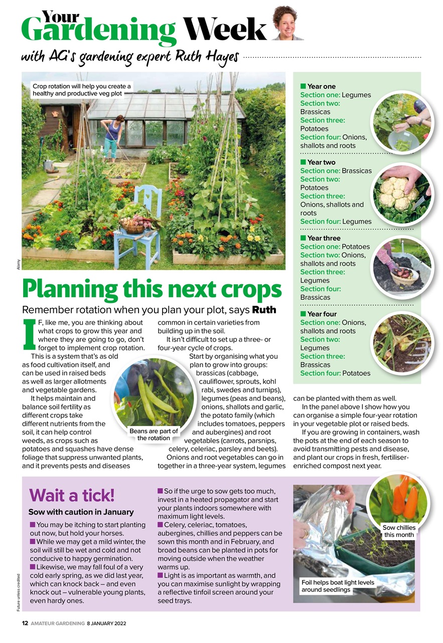 Amateur Gardening Preview Pages