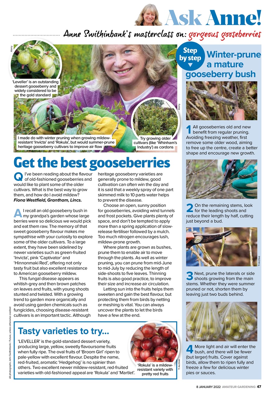 Amateur Gardening Preview Pages