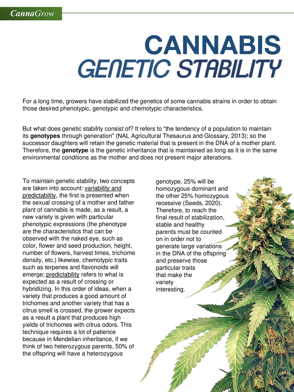 Cannabis World Journals Preview Pages