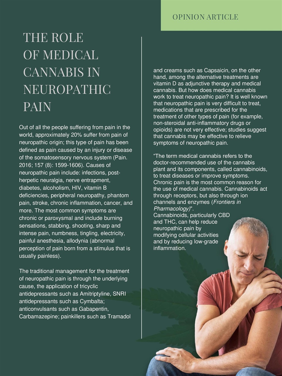Cannabis World Journals Preview Pages