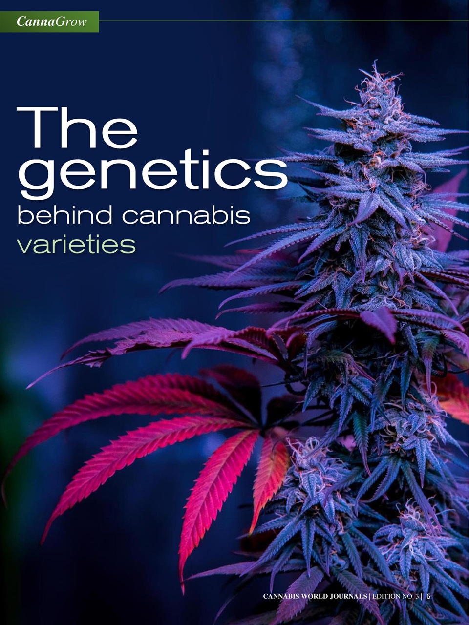 Cannabis World Journals Preview Pages