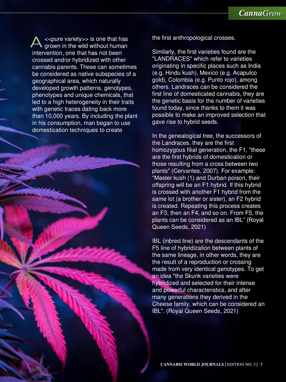 Cannabis World Journals Preview Pages