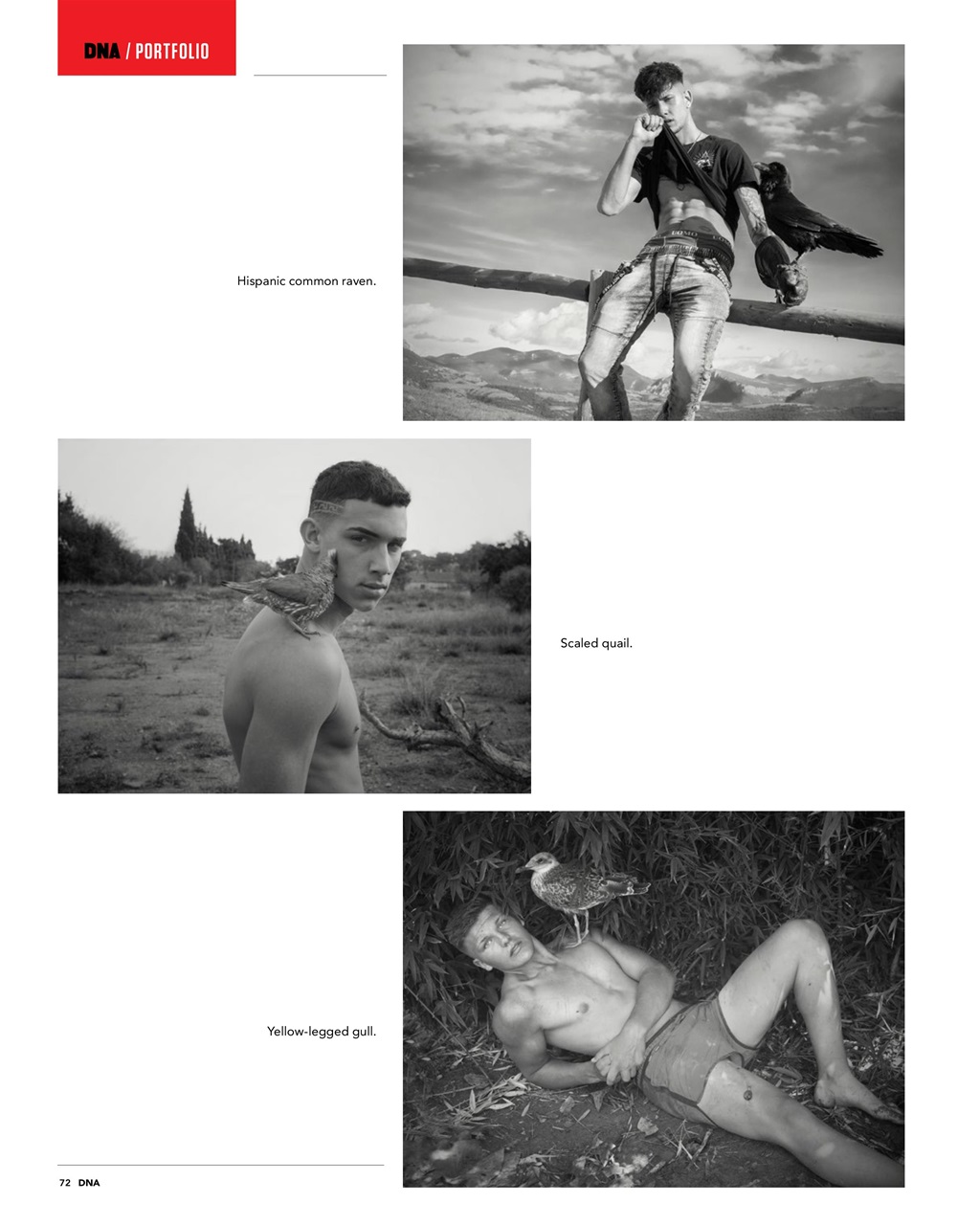 DNA Magazine Preview Pages
