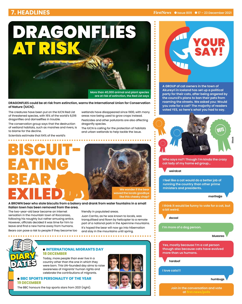 First News Preview Pages