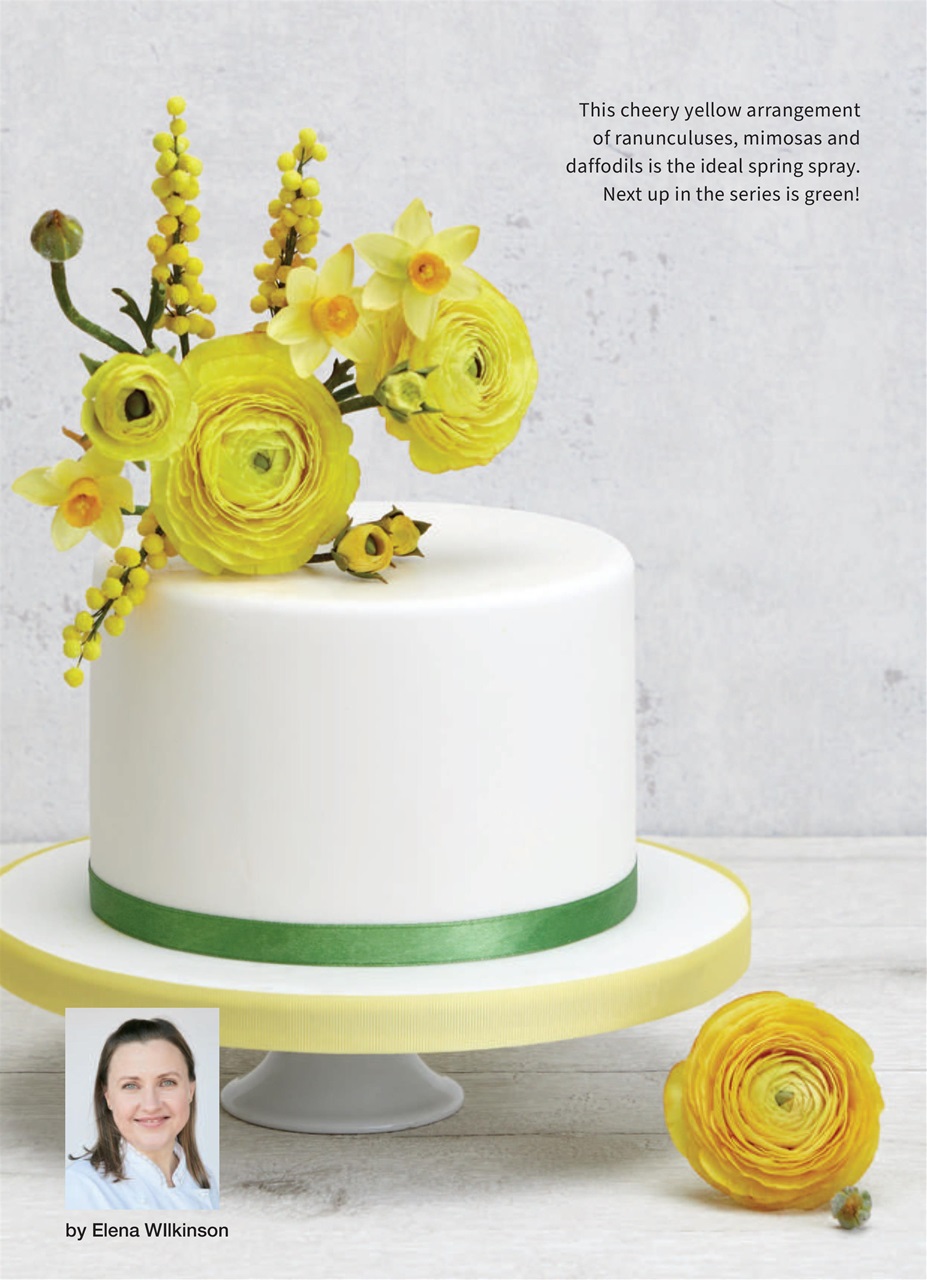 Cakes & Sugarcraft Preview Pages