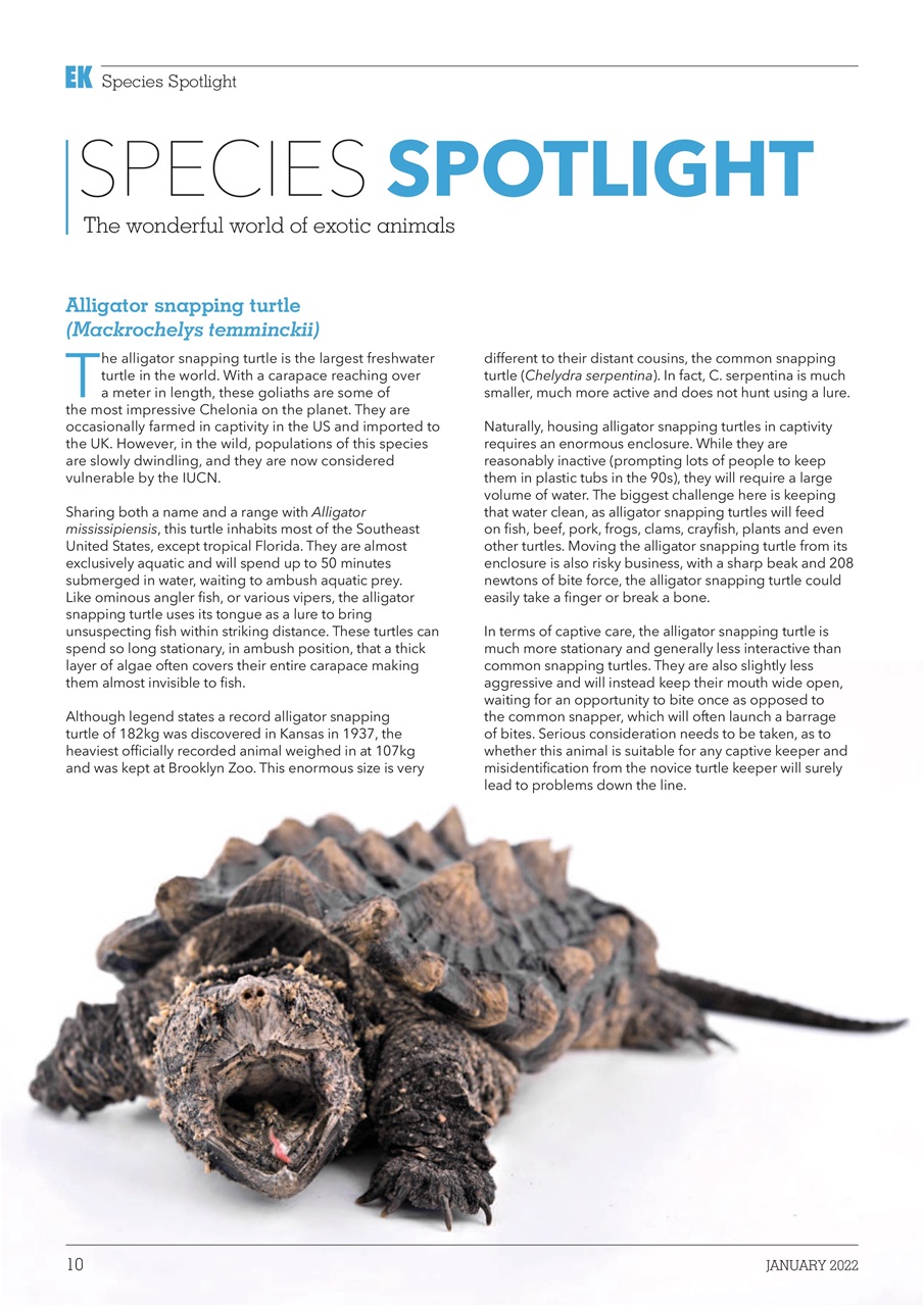 Exotics Keeper Preview Pages