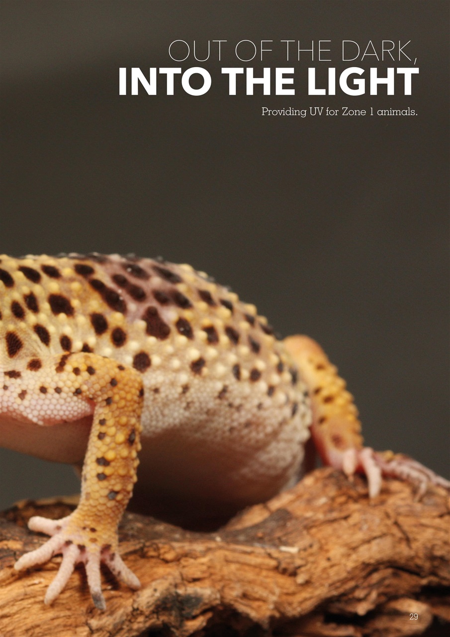 Exotics Keeper Preview Pages