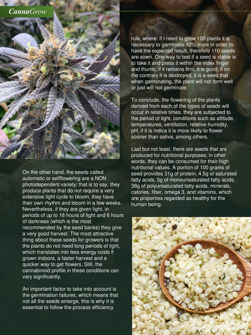 Cannabis World Journals Preview Pages