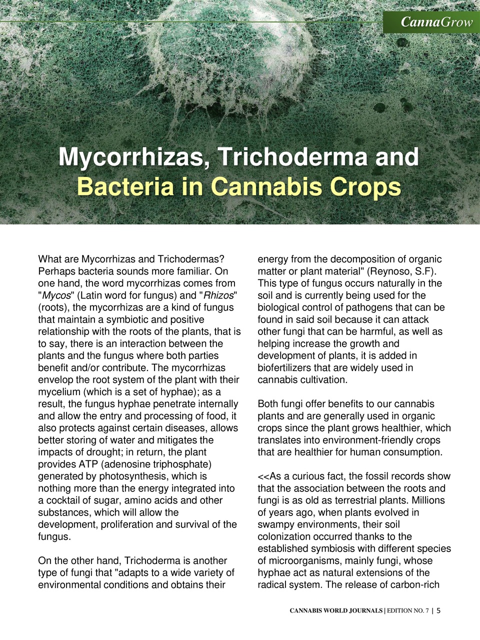 Cannabis World Journals Preview Pages