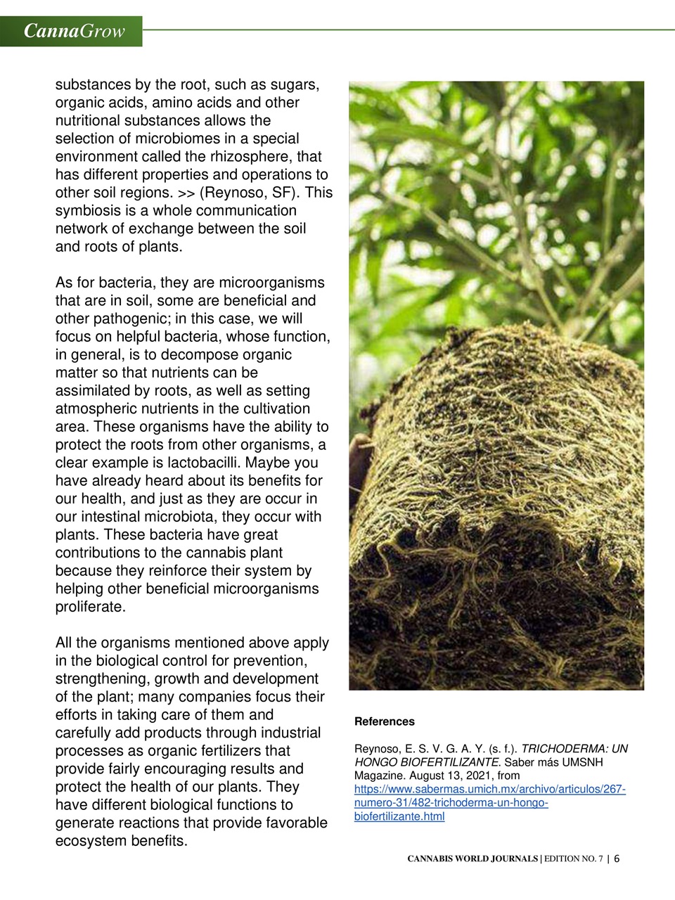 Cannabis World Journals Preview Pages