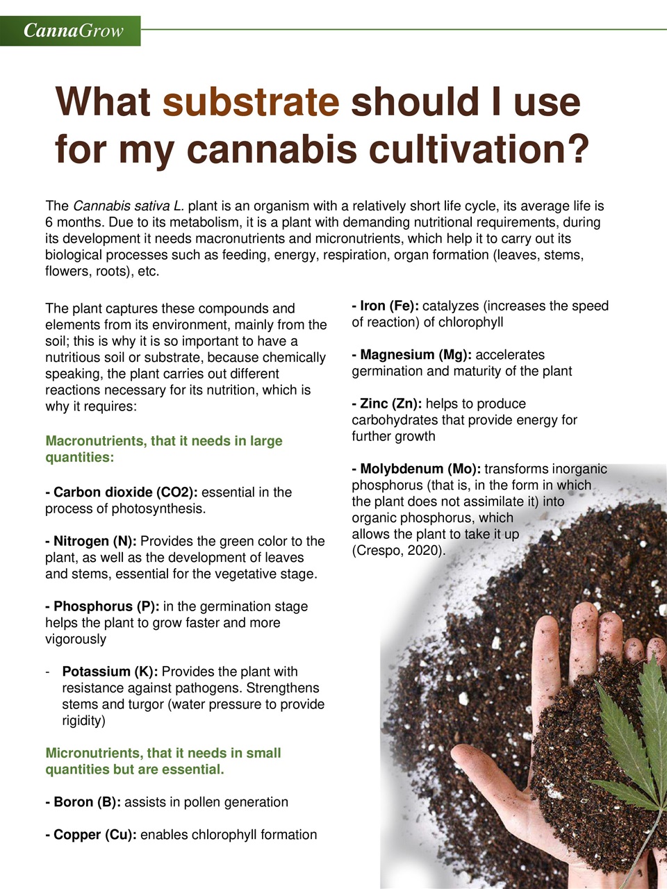 Cannabis World Journals Preview Pages