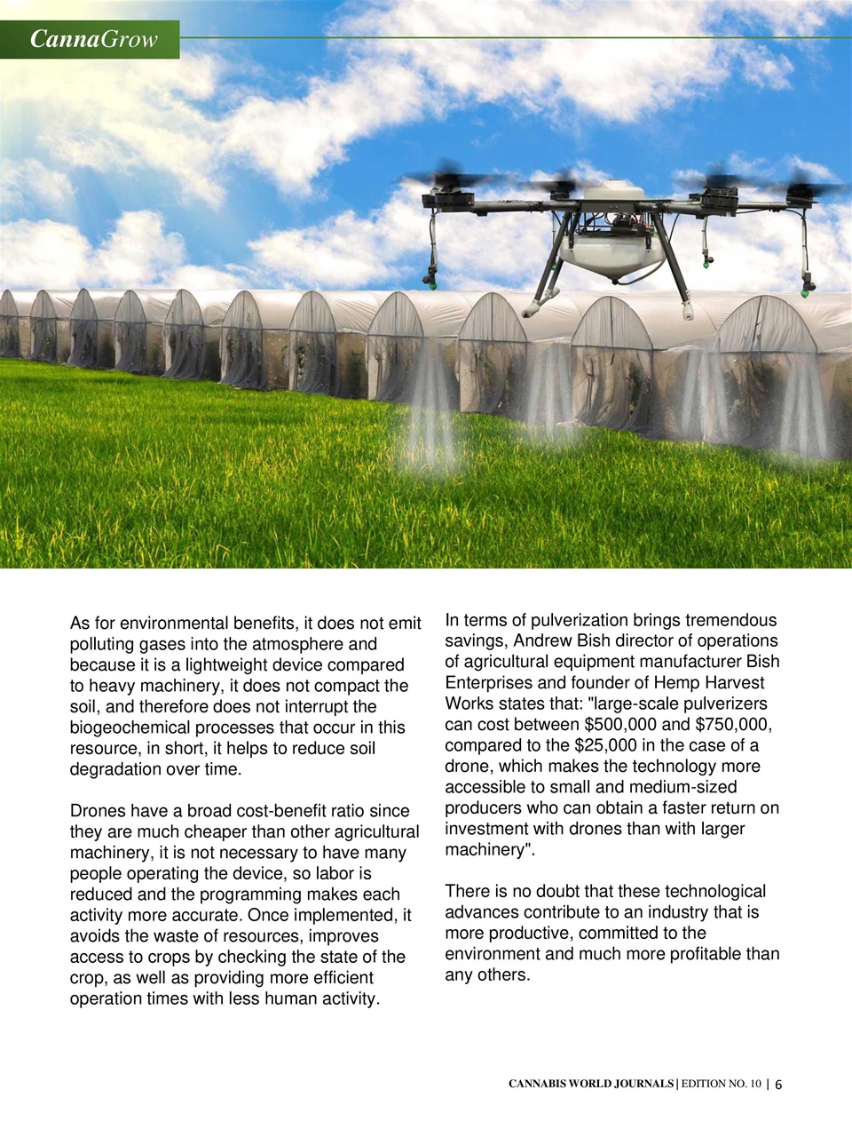 Cannabis World Journals Preview Pages