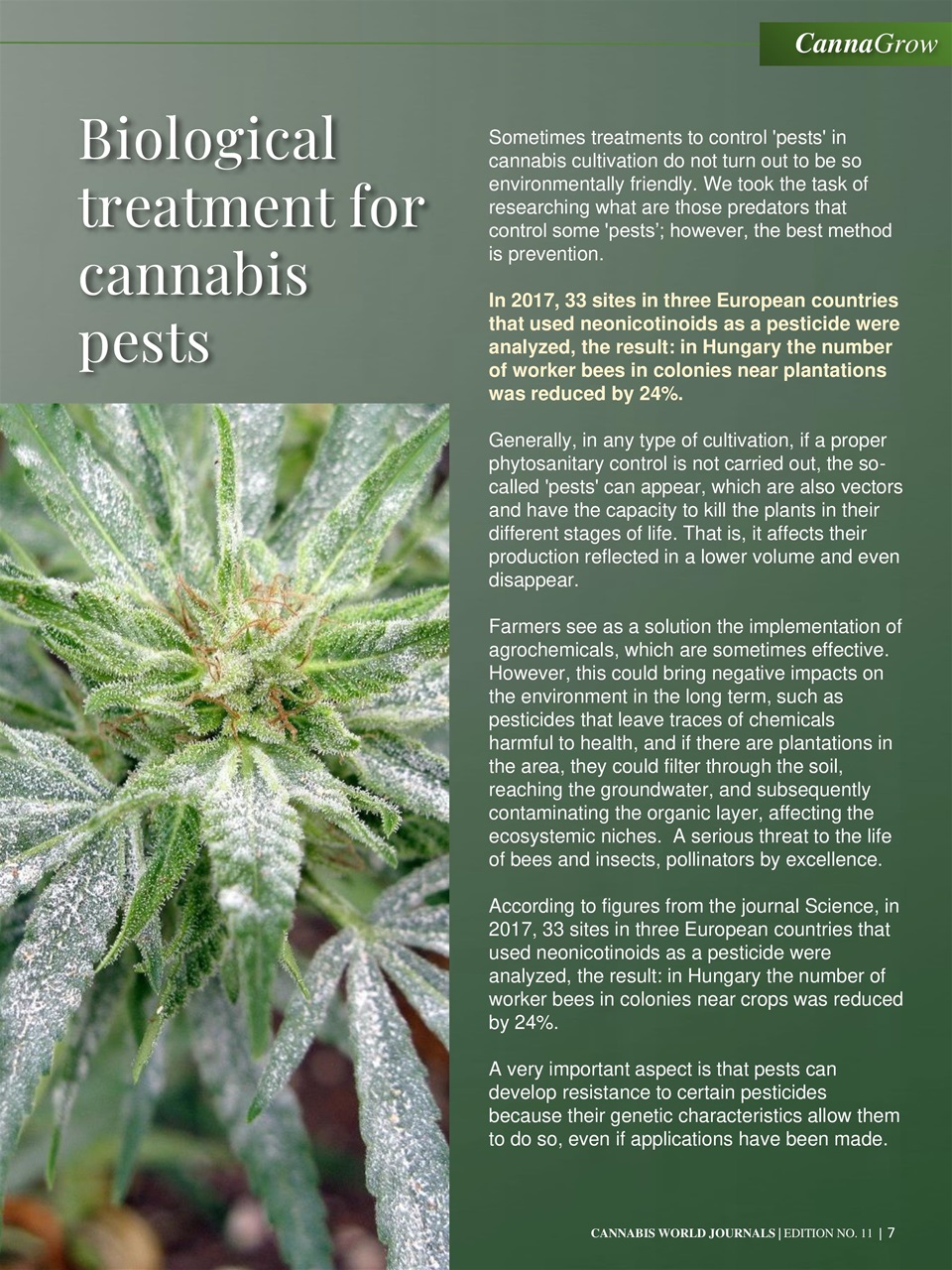 Cannabis World Journals Preview Pages