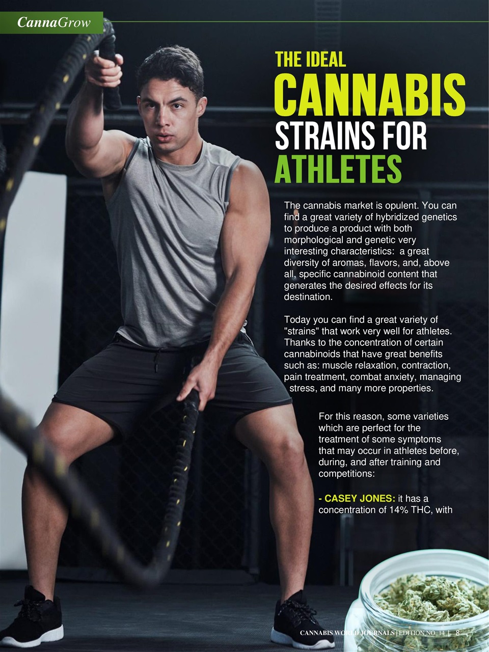 Cannabis World Journals Preview Pages