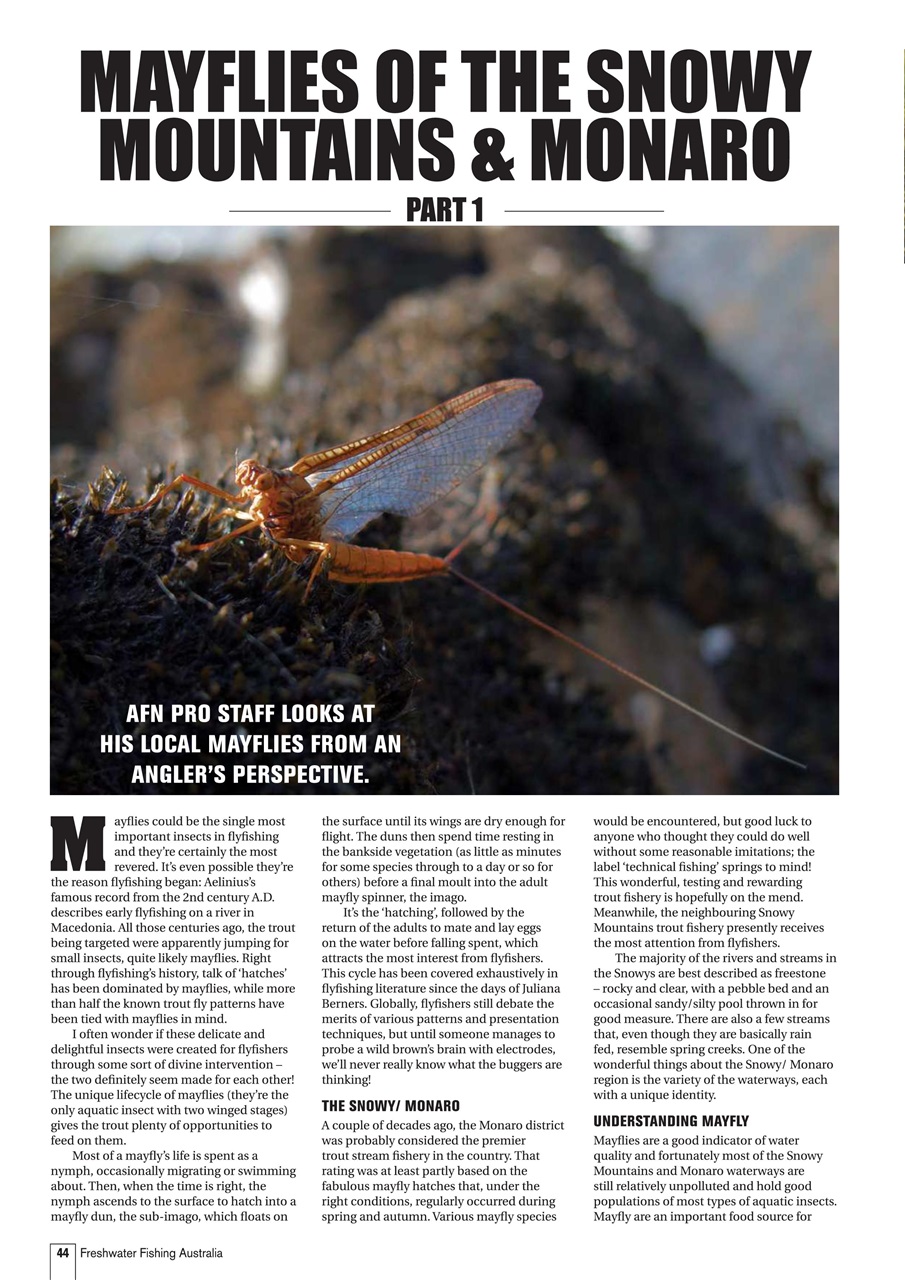 Freshwater Fishing Australia Preview Pages